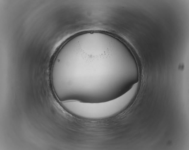 X0000114621460200911101204