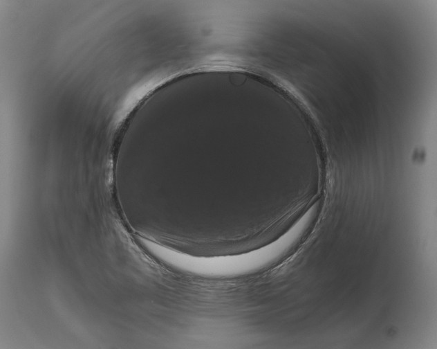X0000114621461200911101204