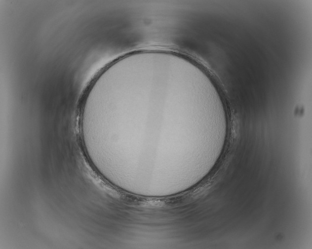 X0000114621462200911101204