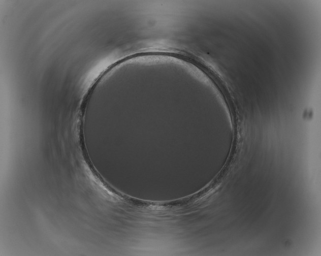 X0000114621463200911101204