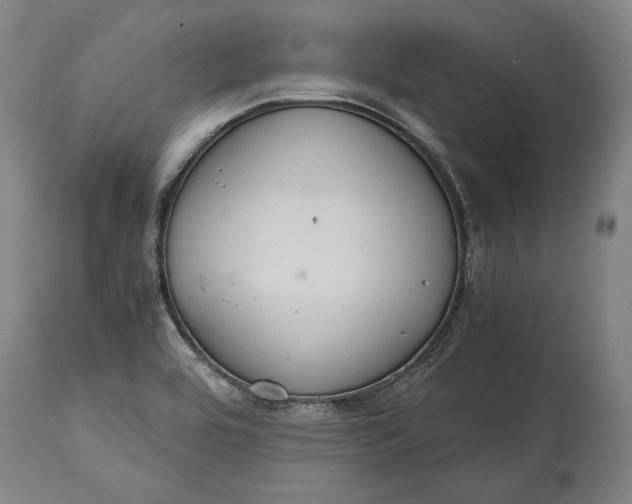 X0000114621464200911101204