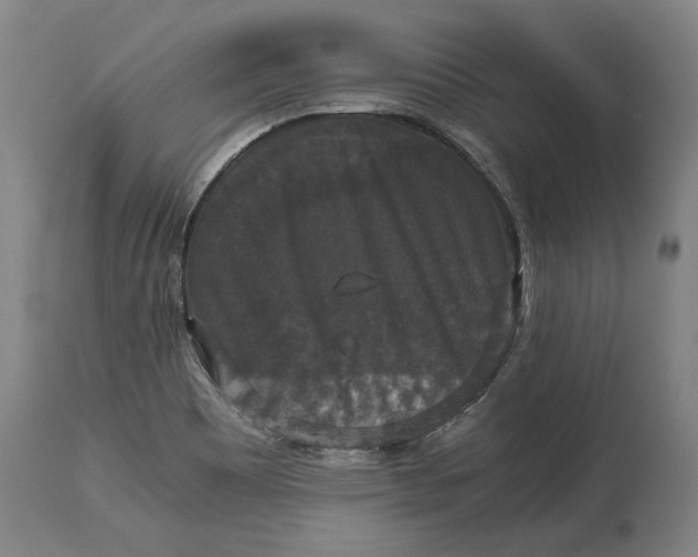 X0000114621465200911101204