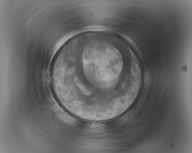X0000114621466200911101204