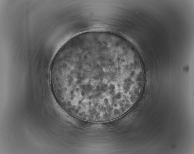 X0000114621467200911101203