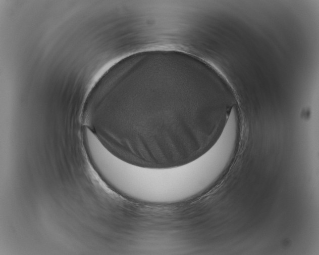 X0000114621468200911101203