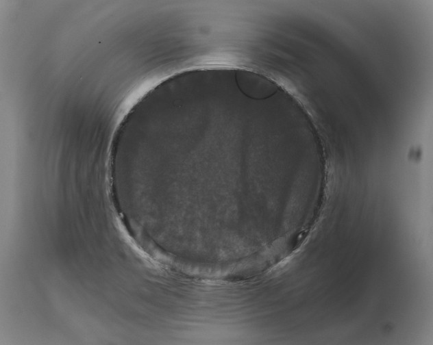 X0000114621469200911101203