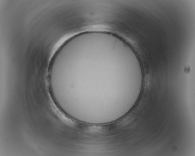 X0000114621470200911101203