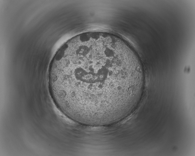 X0000114621471200911101203