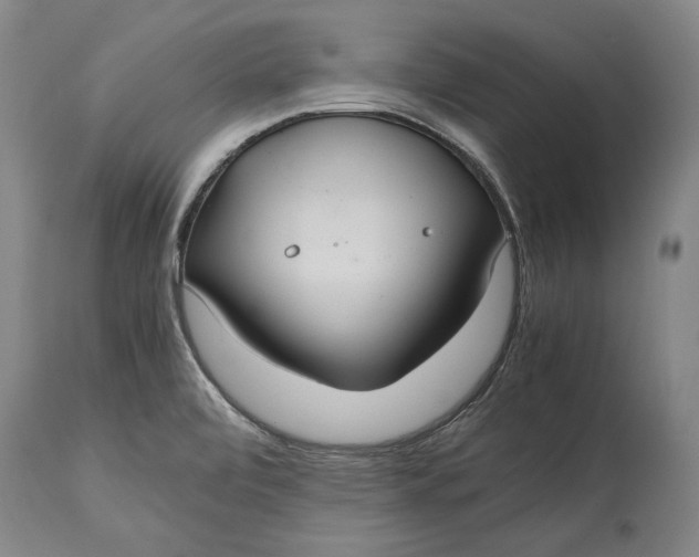 X0000114621472200911101203