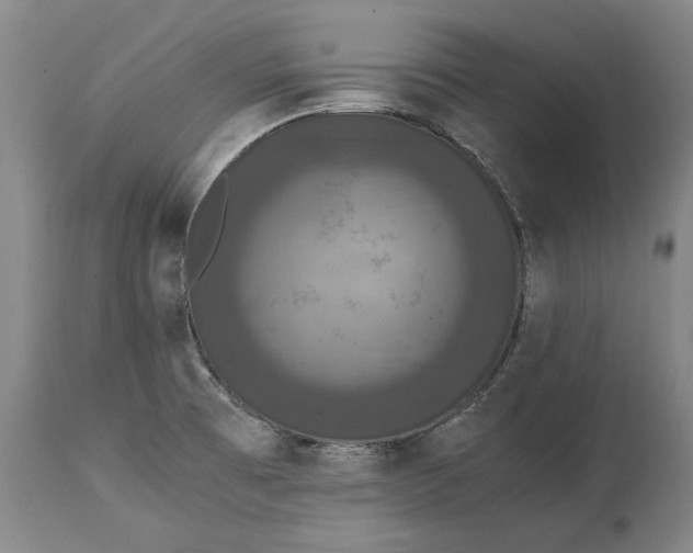 X0000114621473200911101203