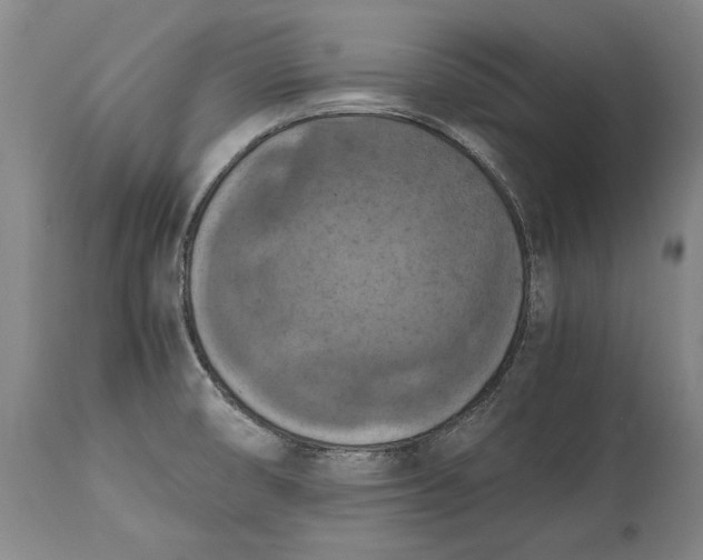 X0000114621474200911101203