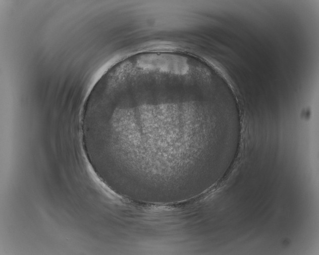 X0000114621475200911101203