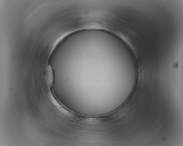 X0000114621476200911101203