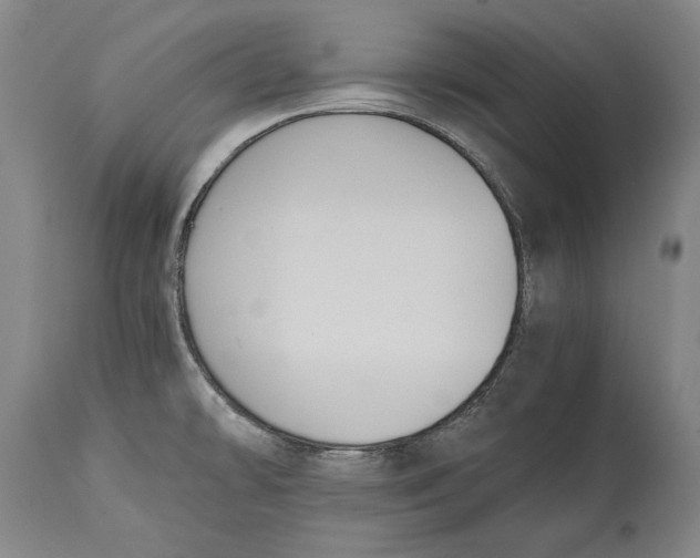 X0000114621478200911101203