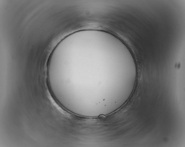 X0000114621479200911101203