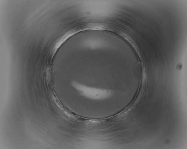 X0000114621481200911101203