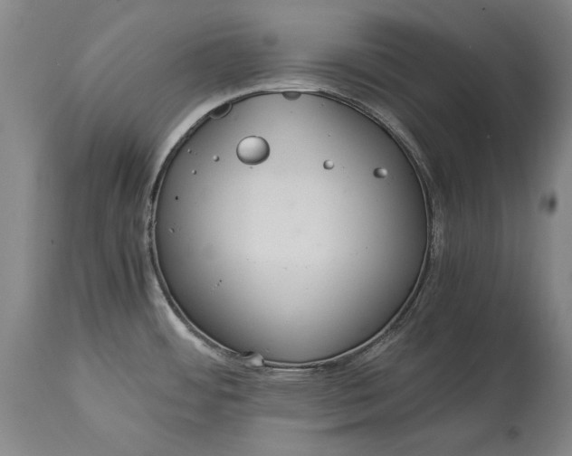 X0000114621484200911101203