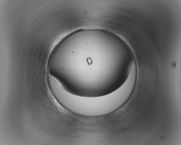 X0000114621485200911101203