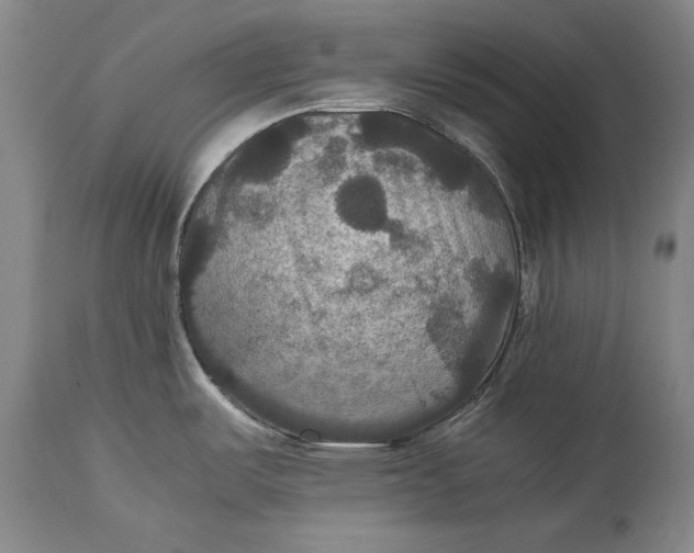 X0000114621487200911101203