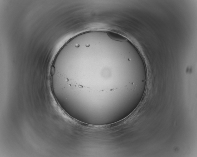 X0000114621488200911101203