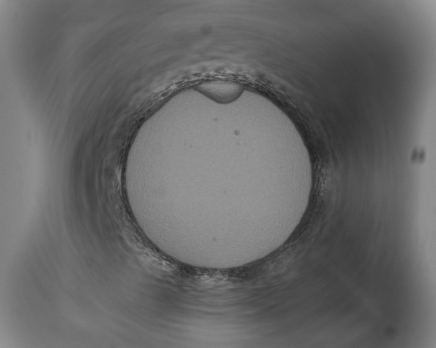 X0000114621489200911101202