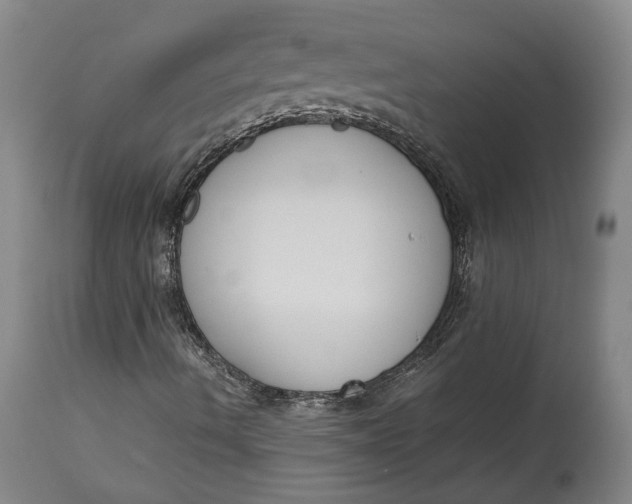 X0000114621490200911101202