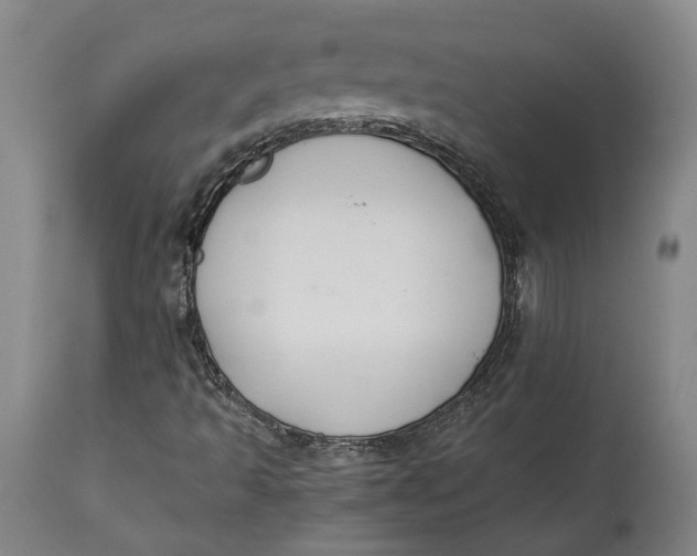 X0000114621493200911101203