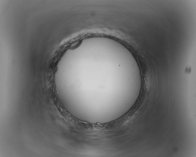 X0000114621494200911101203