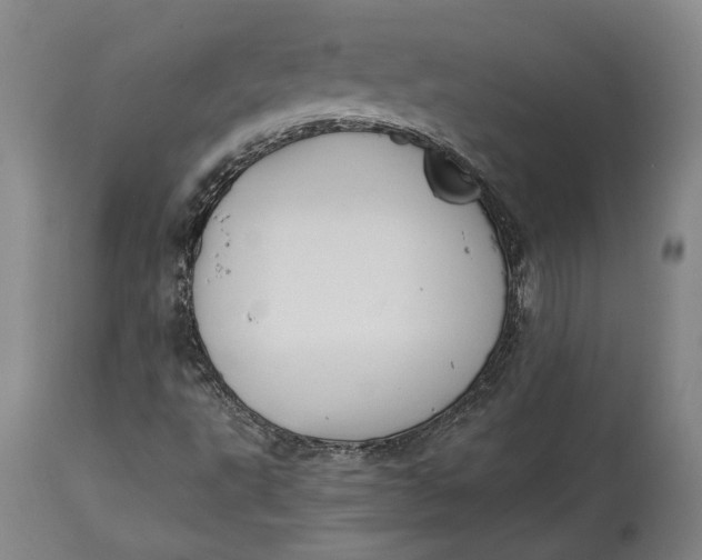 X0000114621495200911101203