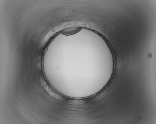 X0000114621499200911101203