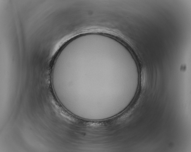 X0000114621501200911101203