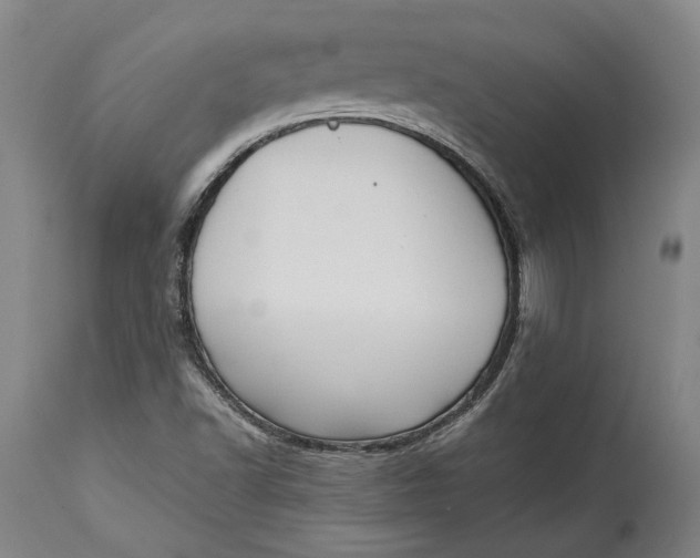 X0000114621502200911101203