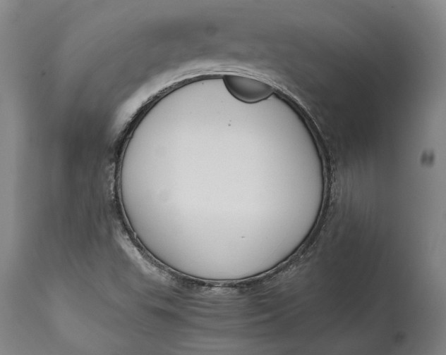 X0000114621503200911101203