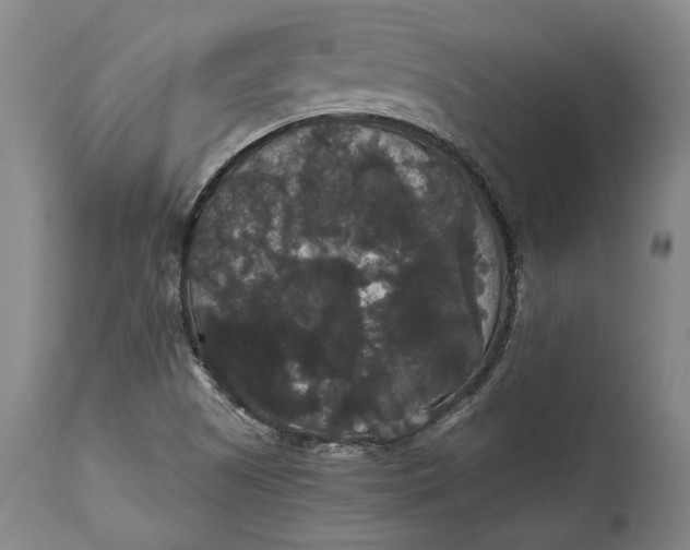 X0000114621505200911101203