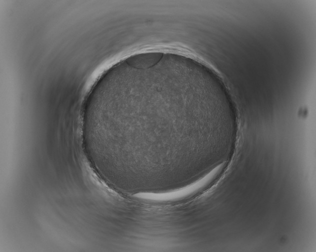 X0000114621506200911101203