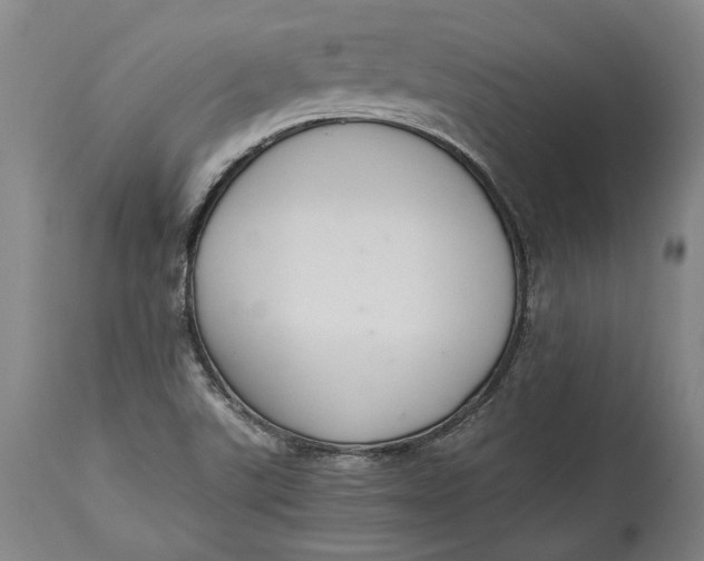 X0000114621507200911101203