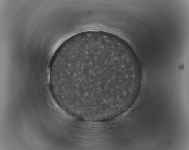 X0000114621509200911101203