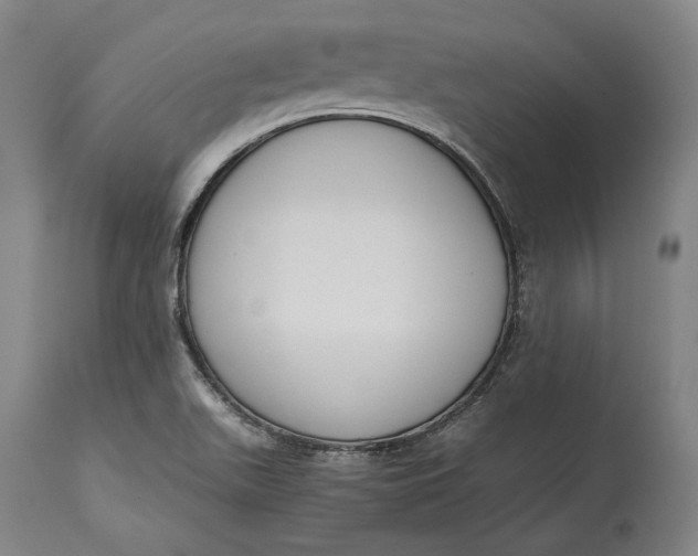 X0000114621511200911101203
