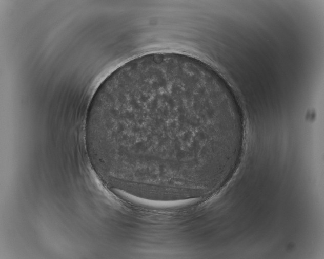 X0000114621513200911101203