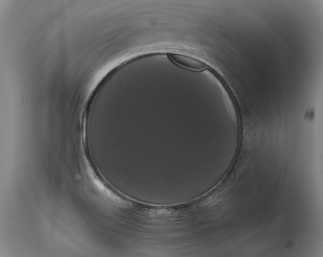 X0000114621515200911101203