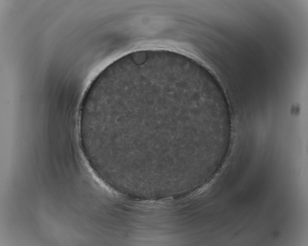 X0000114621517200911101203