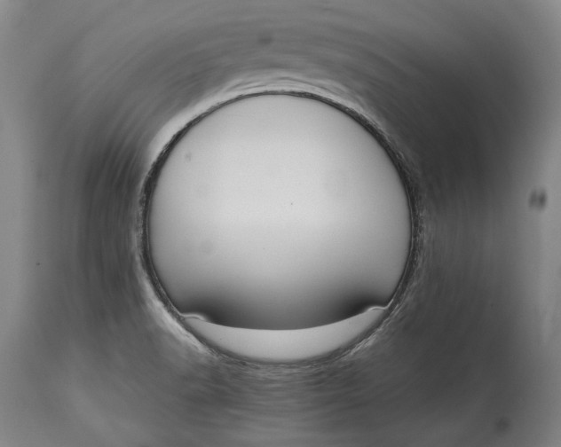 X0000114621518200911101203