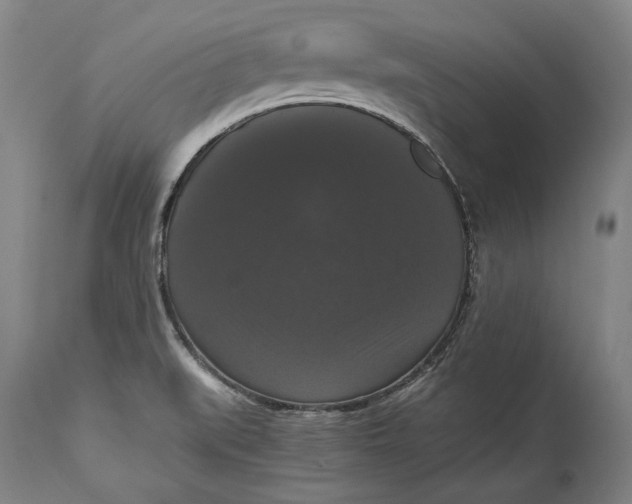 X0000114621519200911101203