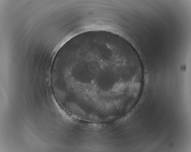 X0000114621521200911101203