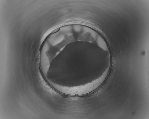 X0000114621522200911101203