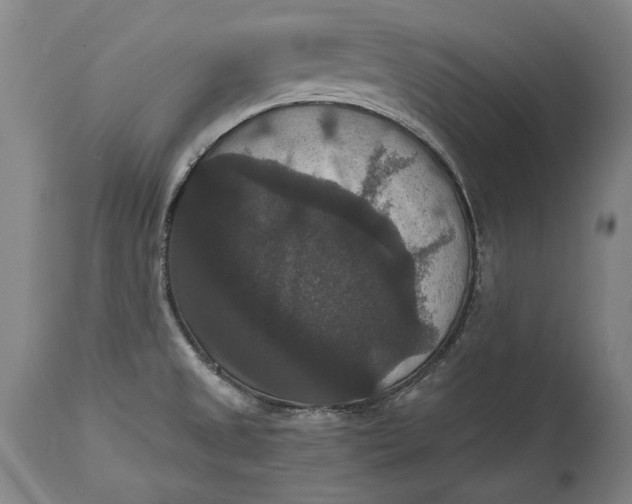 X0000114621525200911101203