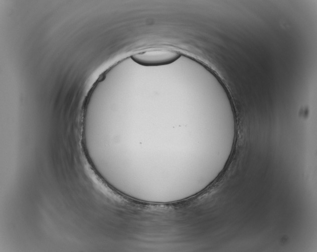 X0000114621526200911101203