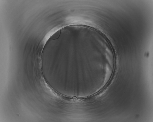 X0000114621529200911101203