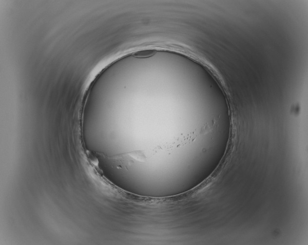 X0000114621530200911101203