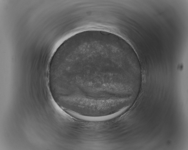 X0000114621531200911101203